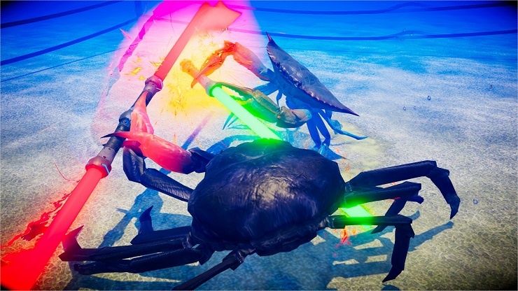 fight crab
