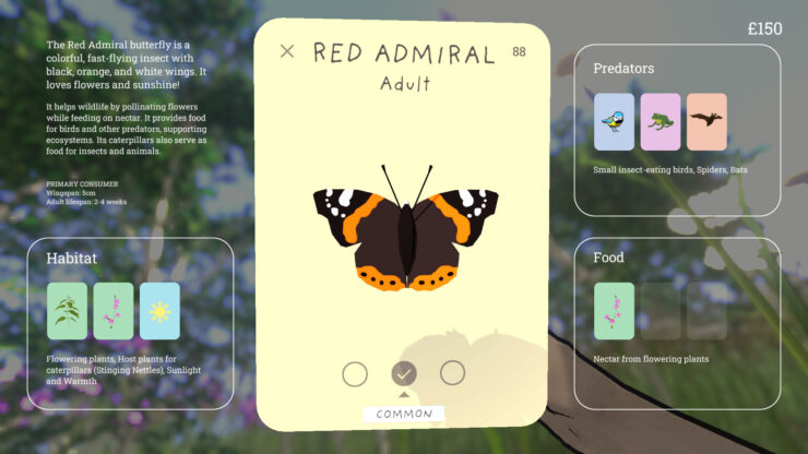 Grow Wild - a journal entry on the Red Admiral butterfly.