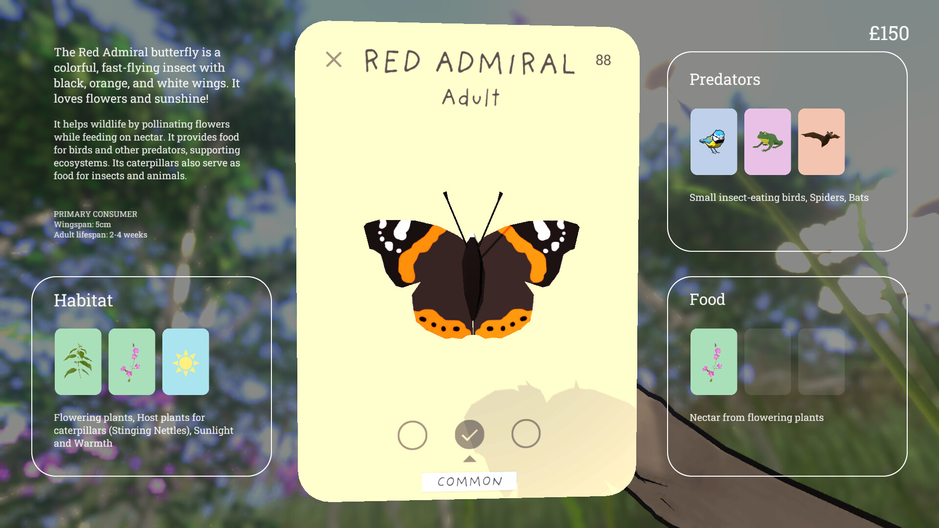 Grow Wild - a journal entry on the Red Admiral butterfly.